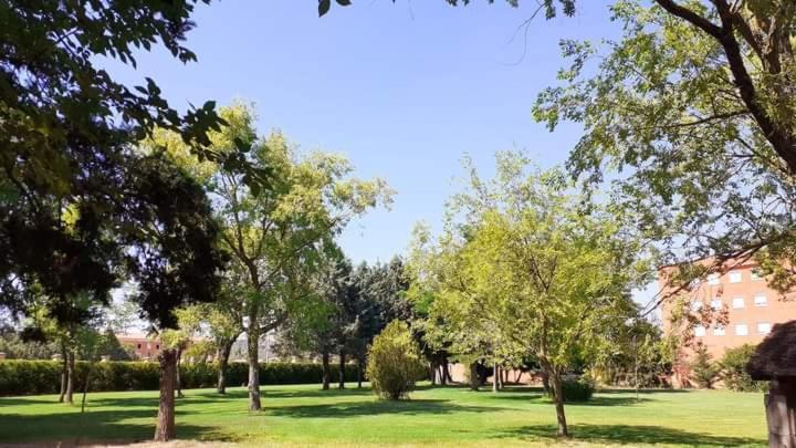Residencia Diego Martinez パレンシア エクステリア 写真